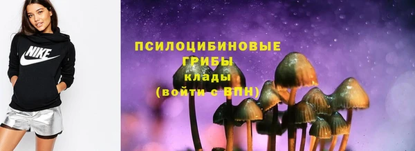 тгк Алзамай