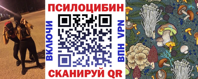 Галлюциногенные грибы мицелий  OMG рабочий сайт  Зеленокумск  наркотики 