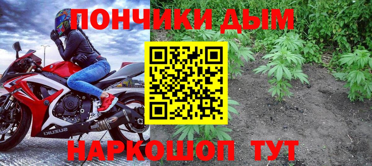 Бошки марихуана индика Зеленокумск
